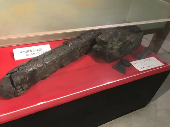 石炭実物