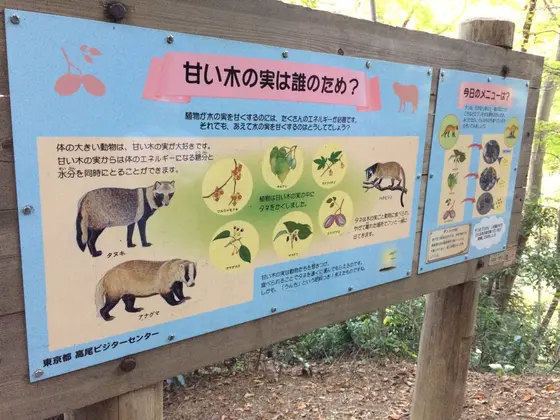 スポット内のおすすめ