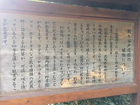 スポット内のおすすめ