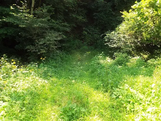 ここまで