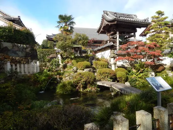 玉泉寺の境内に湧いています