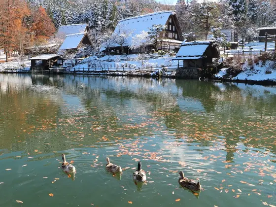 スポット内のおすすめ