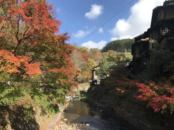 お散歩はいかが？