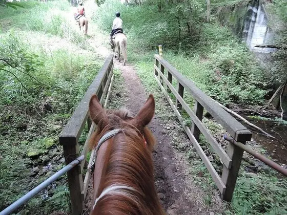 散策中
