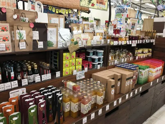 スポット内のおすすめ