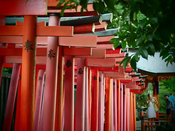 迫力の、朱塗りの鳥居達