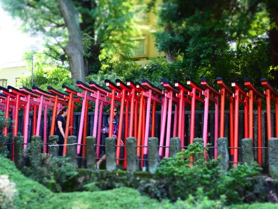 横からの眺めのオススメ