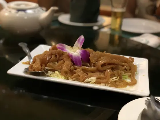 クラゲ