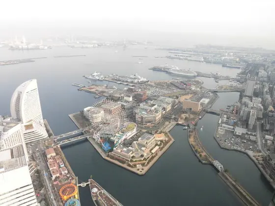 スカイガーデン