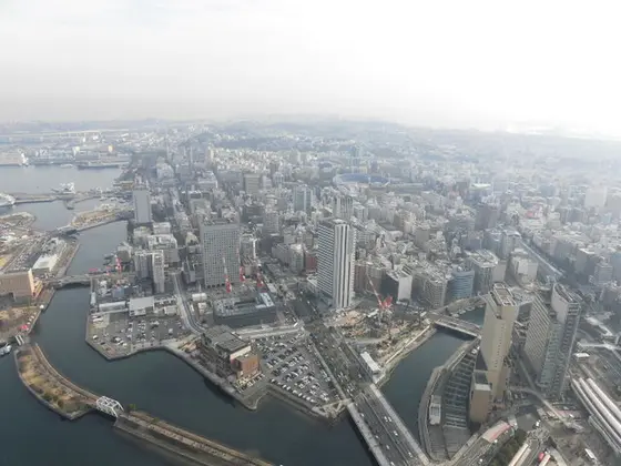 スカイガーデン