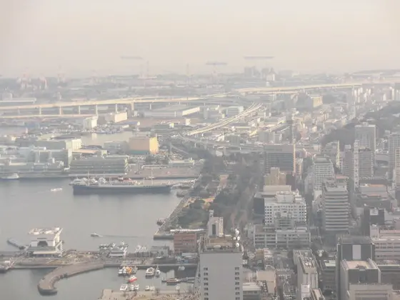 スカイガーデン