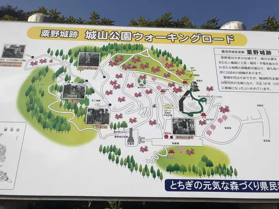 スポット内のおすすめ