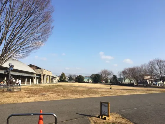 入口の芝生広場