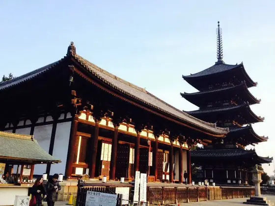 五重塔と興福寺✨
