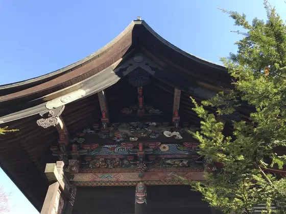 スポット内のおすすめ
