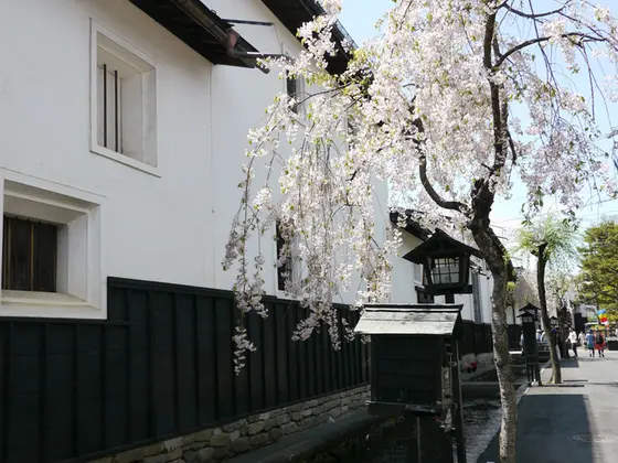 駐車場と円光寺