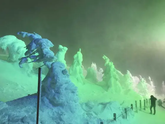 樹氷の世界１