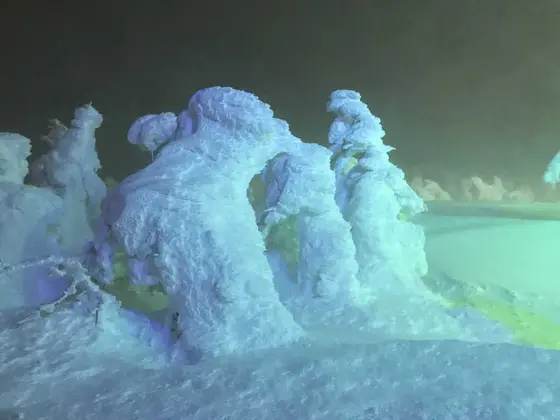 樹氷の世界２