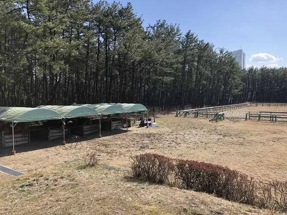 厩