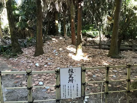 投瓦所