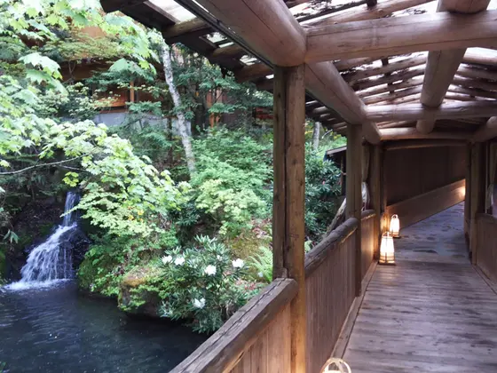 池・水車のある中庭など