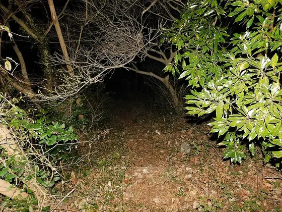 キャンプ場へ？