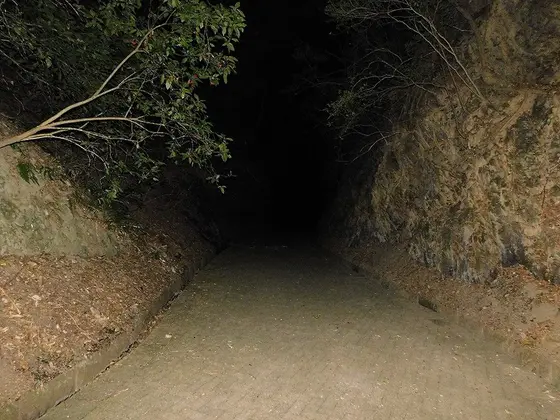 今夜の寝床へ
