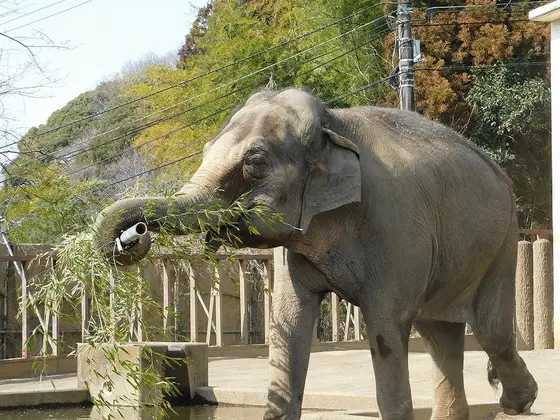 おやつタイム