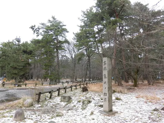 一夜の松原由来碑