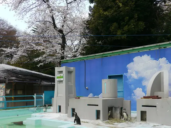 ペンギンのところ