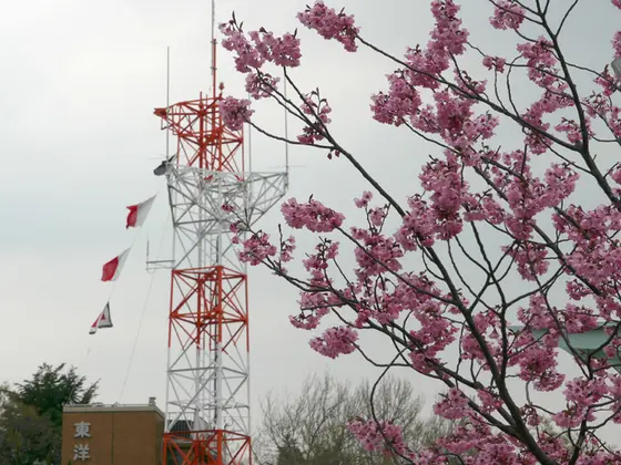 アニメ映画のモデル地