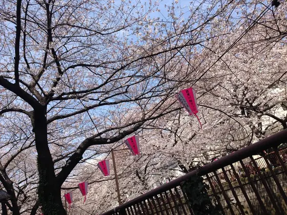 🎀