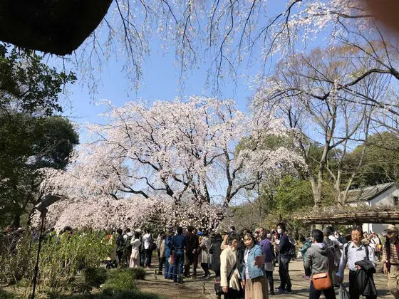 午前中から大勢で賑わっています。