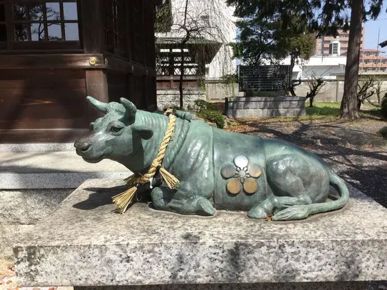 牛