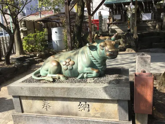 牛
