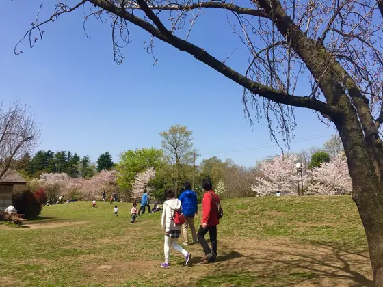 小さな丘のある広場♩
