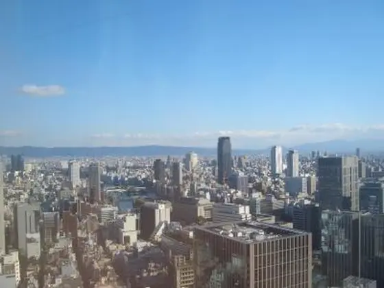地上３３階から眺める景色