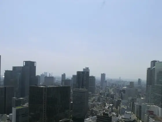 大阪平野を一望