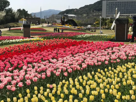 大地の虹