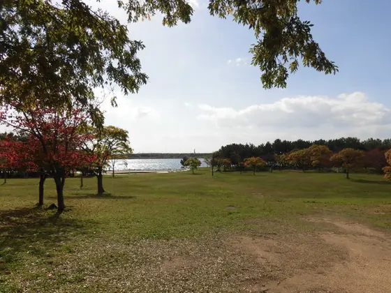 芝生広場など