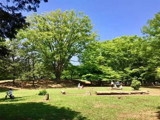 丸太のベントがいい感じ。