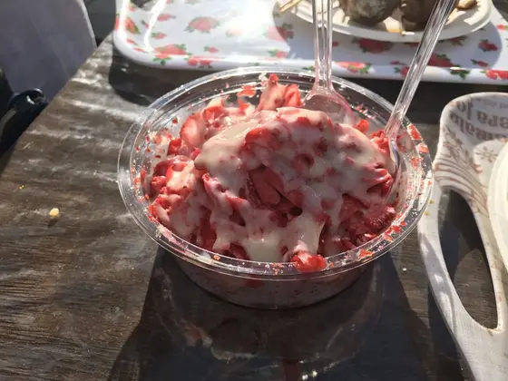スポット内のおすすめ