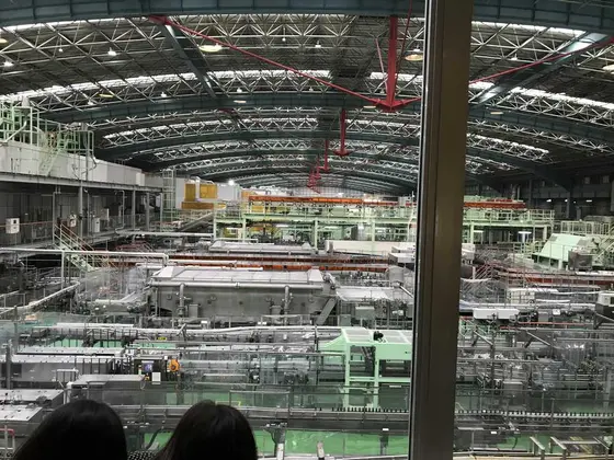 建物は