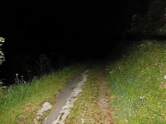 奥