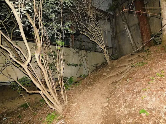 駅舎