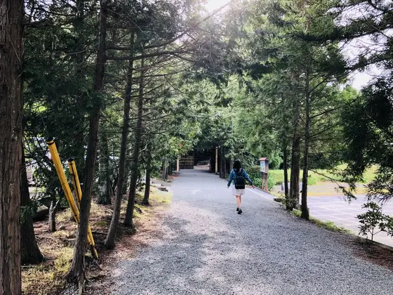 スポット内のおすすめ