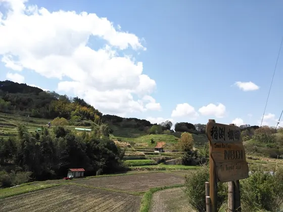9月、彼岸花の頃がオススメ