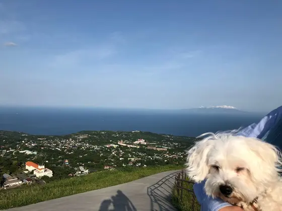 頂上からの景色