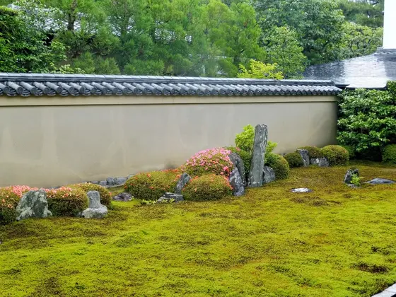 苔のみごとな”竜吟庭”