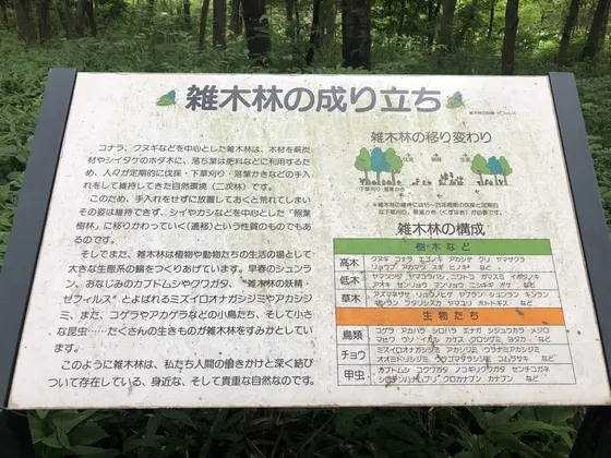 スポット内のおすすめ